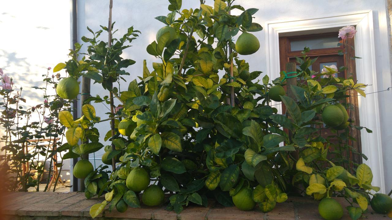 Borgo Patierno Conca della Campania Exterior foto